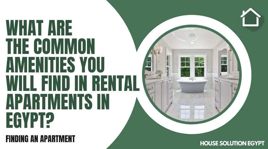 WHAT ARE THE COMMON AMENITIES YOU WILL FIND IN RENTAL APARTMENTS IN EGYPT? - #297 - article image