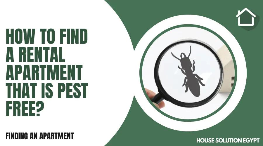HOW TO FIND A RENTAL APARTMENT THAT IS PEST FREE? - #303 - article image