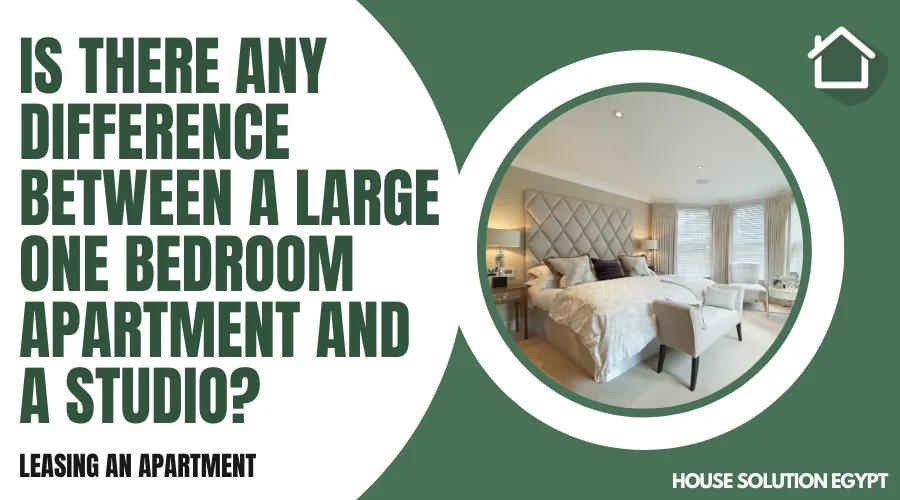 IS THERE ANY DIFFERENCE BETWEEN A LARGE ONE BEDROOM APARTMENT AND A STUDIO?  - #330 - article image
