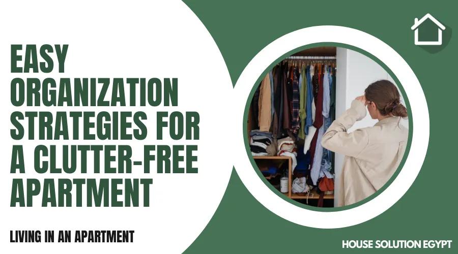 EASY ORGANIZATION STRATEGIES FOR A CLUTTER-FREE APARTMENT  - #355 - article image